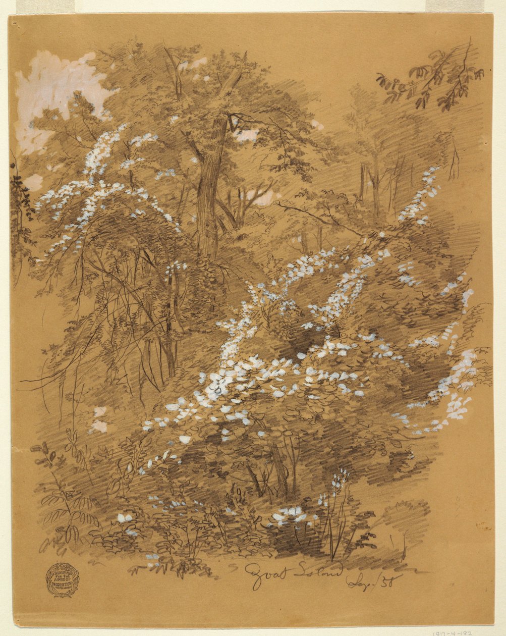 Dibujo, Escena de bosque, Goat Island, río Niágara, Nueva York, septiembre de 1858 de Frederic Edwin Church