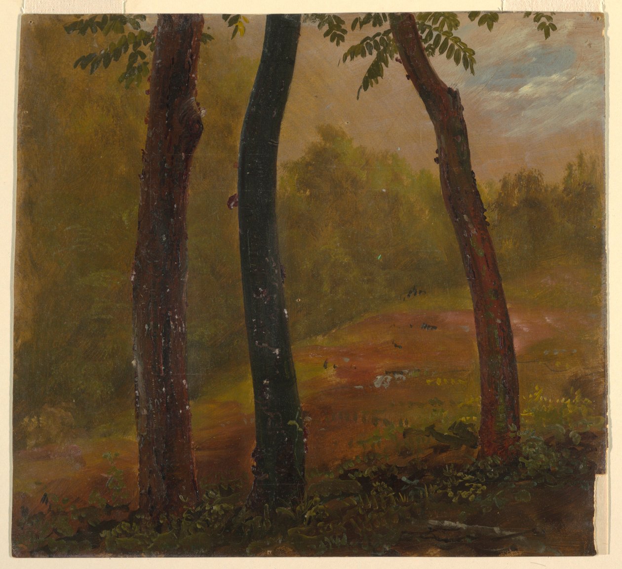 Dibujo, Escena de bosque, Jamaica, 1865 de Frederic Edwin Church