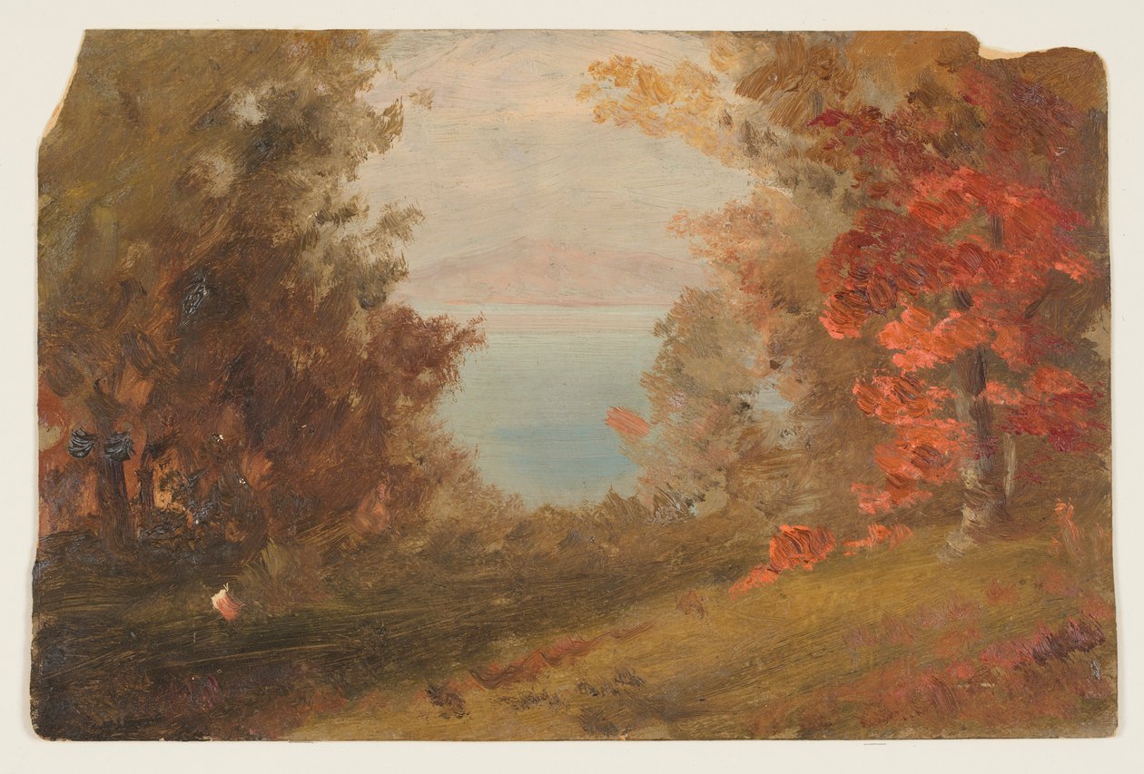Dibujo, Escena de bosque en otoño (Hudson, Nueva York o Maine), 1860-70 de Frederic Edwin Church