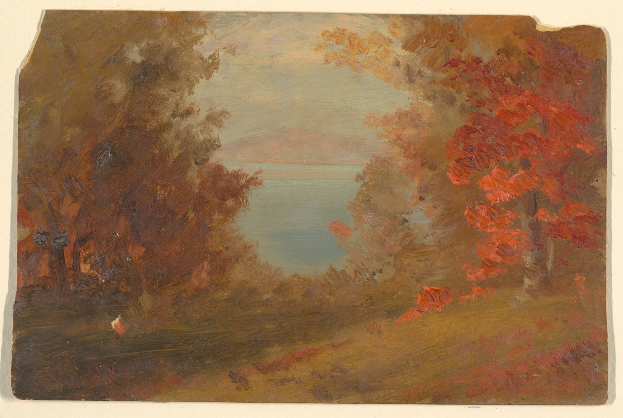 Dibujo, Escena de bosque en otoño (Hudson, Nueva York o Maine), 1860-70 de Frederic Edwin Church