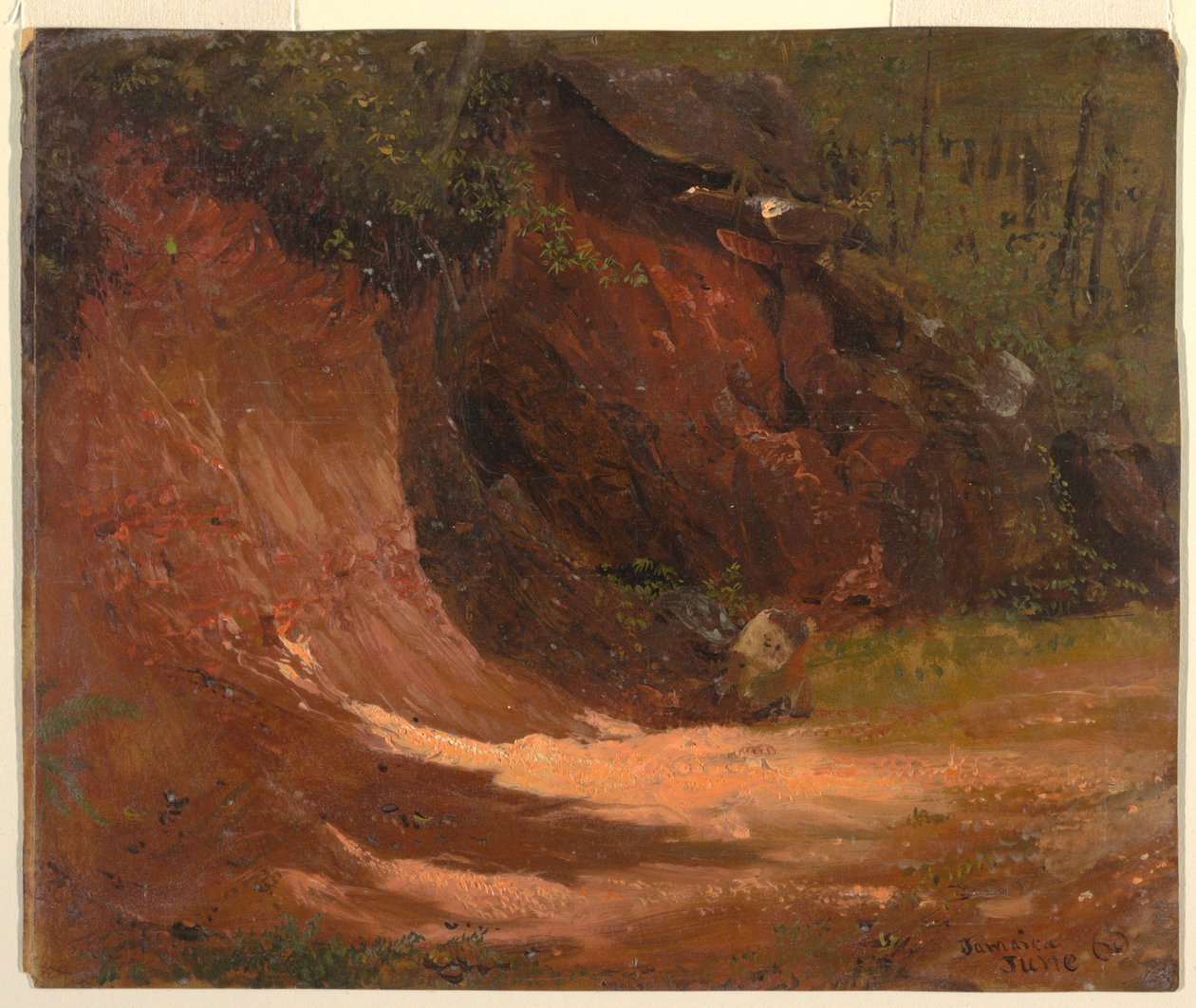 Dibujo, Woodland bank, Jamaica, junio de 1865 de Frederic Edwin Church
