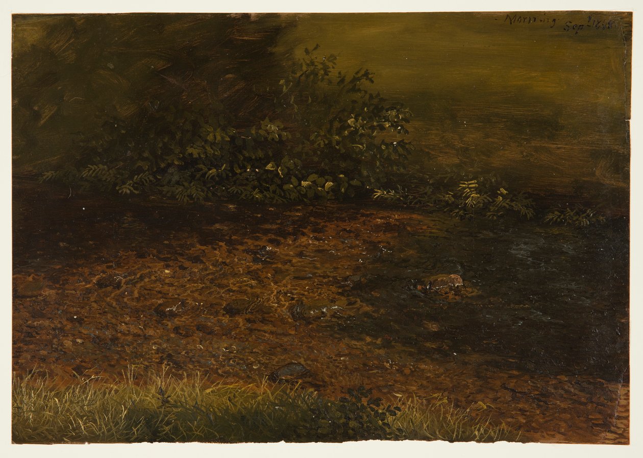 Dibujo, Arroyo del bosque en las Catskills, septiembre de 1848 de Frederic Edwin Church