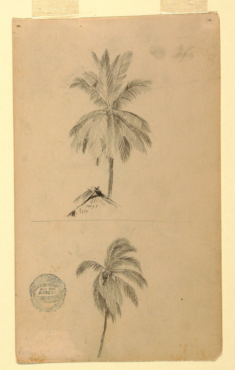 Dibujos. Dos bocetos. Palmas. de Frederic Edwin Church