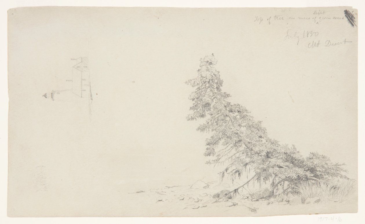 Árbol perenne cerca de la costa con un detalle del faro y una casa, Mount Desert, Maine de Frederic Edwin Church