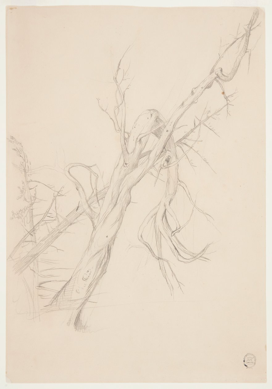 Árbol muerto retorcido de Frederic Edwin Church