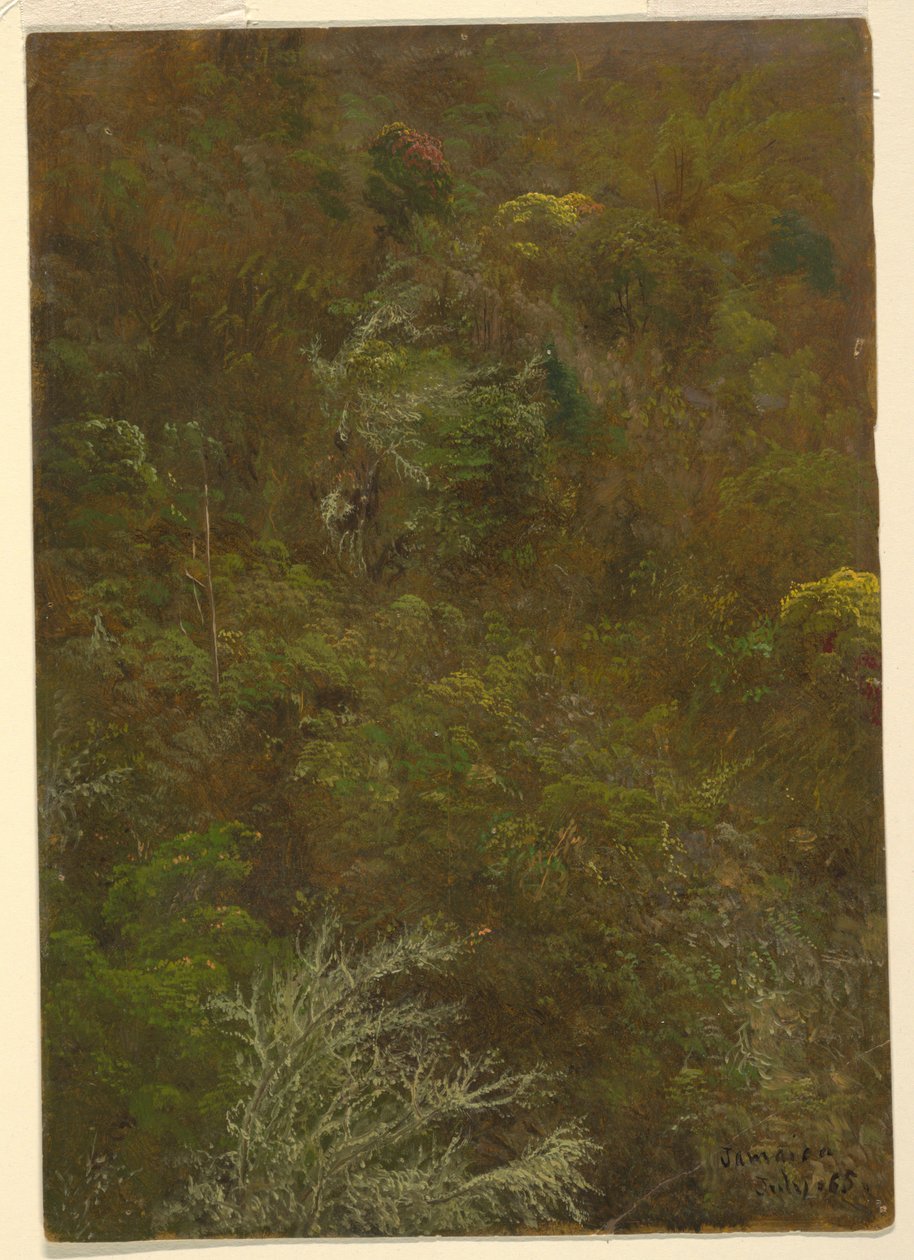 Ladera con Árboles, Jamaica de Frederic Edwin Church