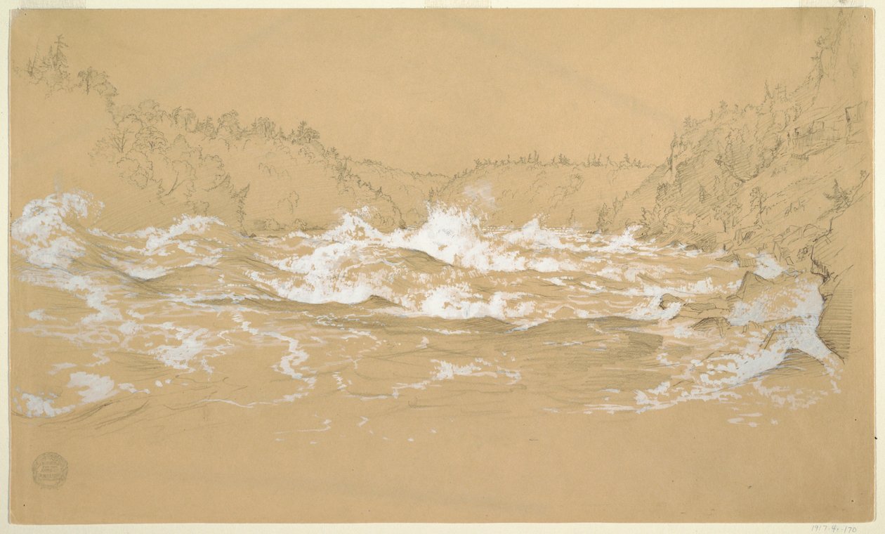 Garganta del río Niágara de Frederic Edwin Church