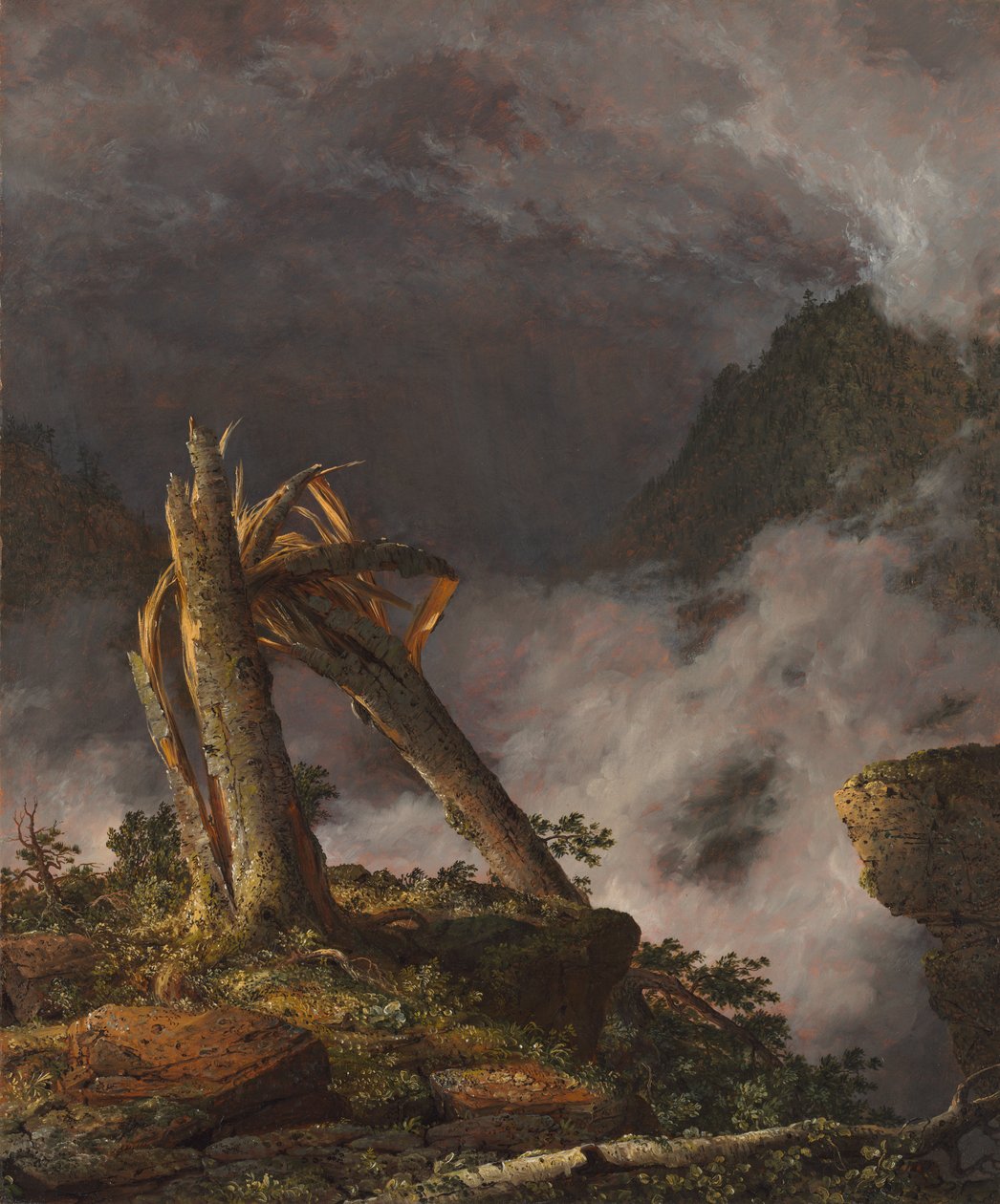 Storm in the Mountains de Frederic Edwin Church