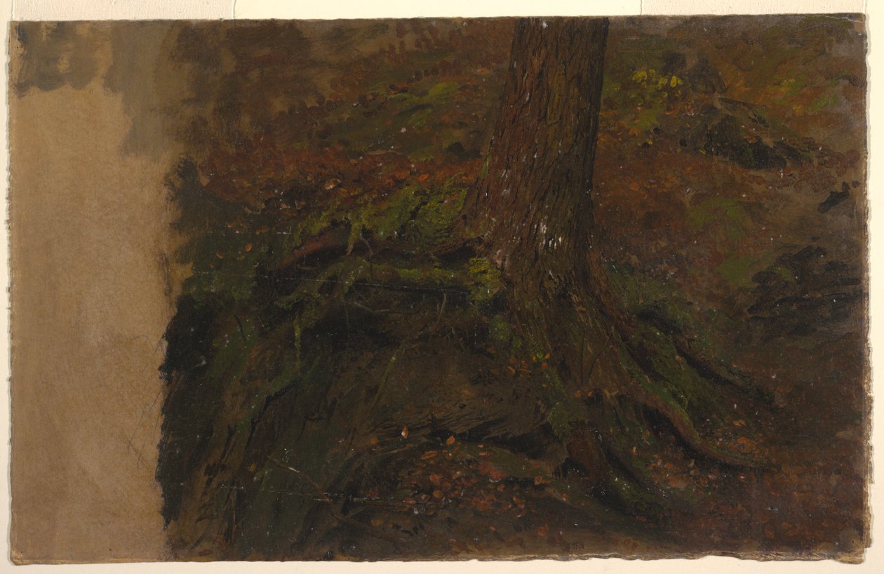 Estudio de un Tronco de Árbol de Frederic Edwin Church