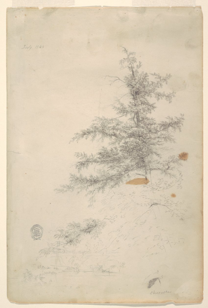 Árbol, Arroyo de Frederic Edwin Church