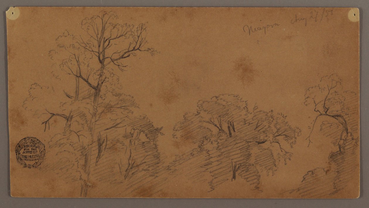Copas de árboles, Niágara de Frederic Edwin Church