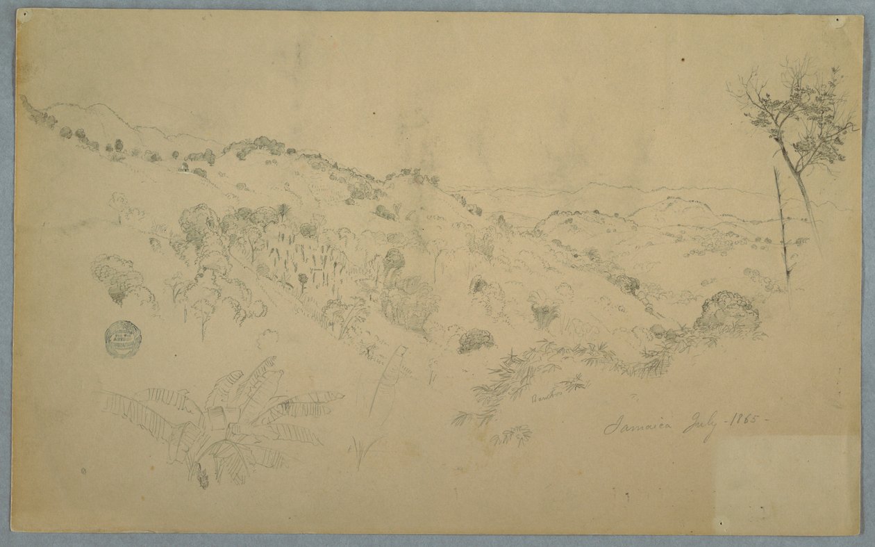 Valle boscoso con un helecho grande y cadenas montañosas distantes, Jamaica de Frederic Edwin Church