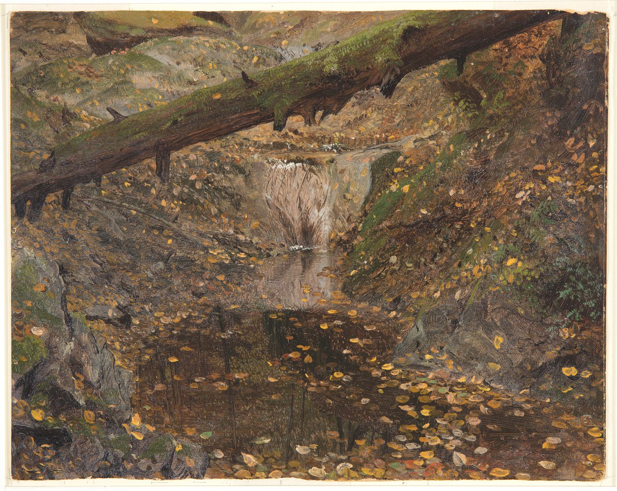 Arroyo en el bosque, posiblemente Mt. Desert, Maine de Frederic Edwin Church