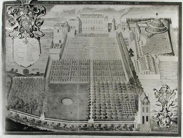 El jardín de plantas medicinales del rey, 1636 de Frederic Scalberge