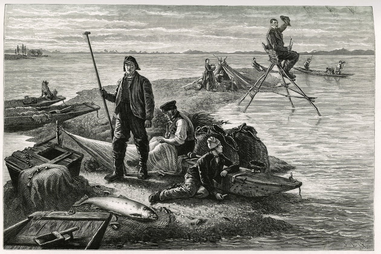 Pesca de salmón. Grabado de F.Lix, para ilustrar la historia “Through Alsace and Lorraine”, en 1884, de Charles Grad (1842-1890), diputado alemán, escritor y naturalista. Publicado en Le Tour du Monde, nuevo diario de viajes, segundo semestre de 1885, edit de Frederic Theodore Lix