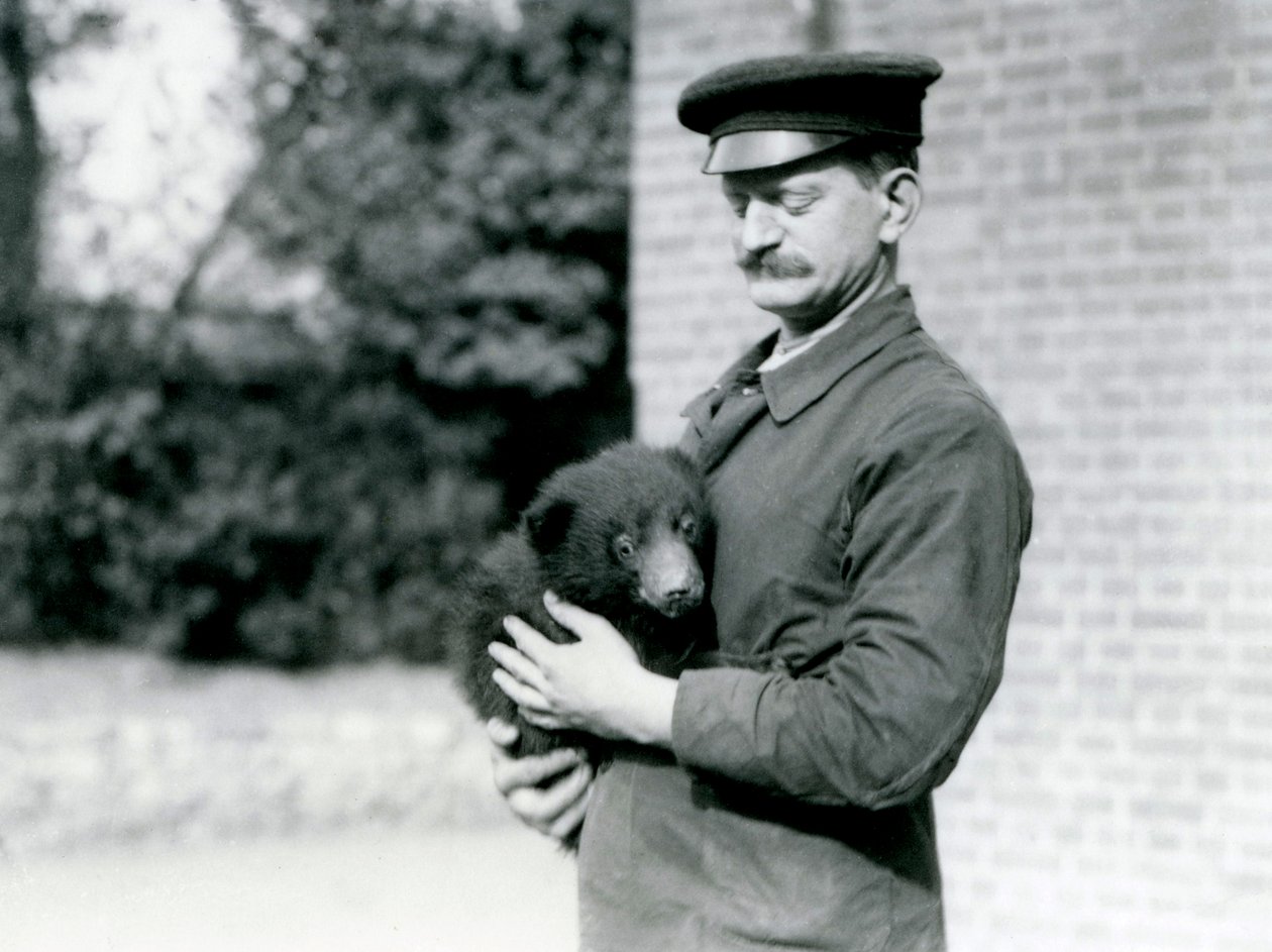 Un cuidador sostiene un cachorro de oso perezoso en el zoológico de Londres, agosto de 1921 de Frederick William Bond