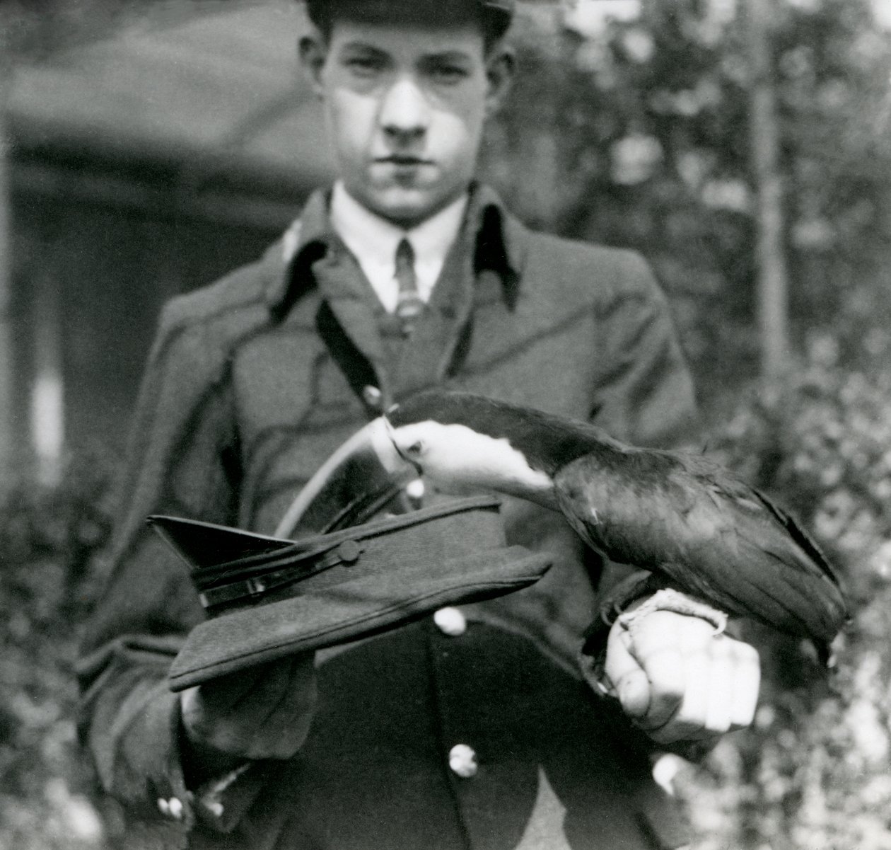 Un tucán de pico rojo saca un boleto de un sombrero, sostenido por el cuidador C. Hersey, Zoológico de Londres, 1923 de Frederick William Bond