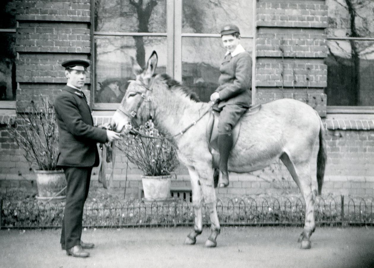 Un cuidador lleva un burro, montado por un niño, Zoológico de Londres, junio de 1913 de Frederick William Bond