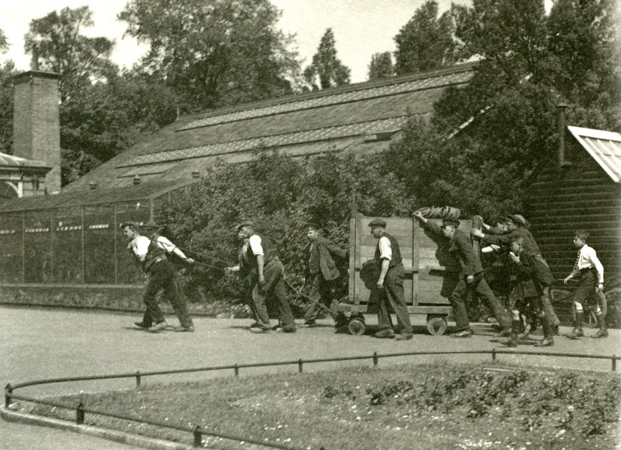 Un equipo de hombres moviendo al leopardo en una caja de madera, seguido por dos niños, Zoológico de Londres, 1922 de Frederick William Bond