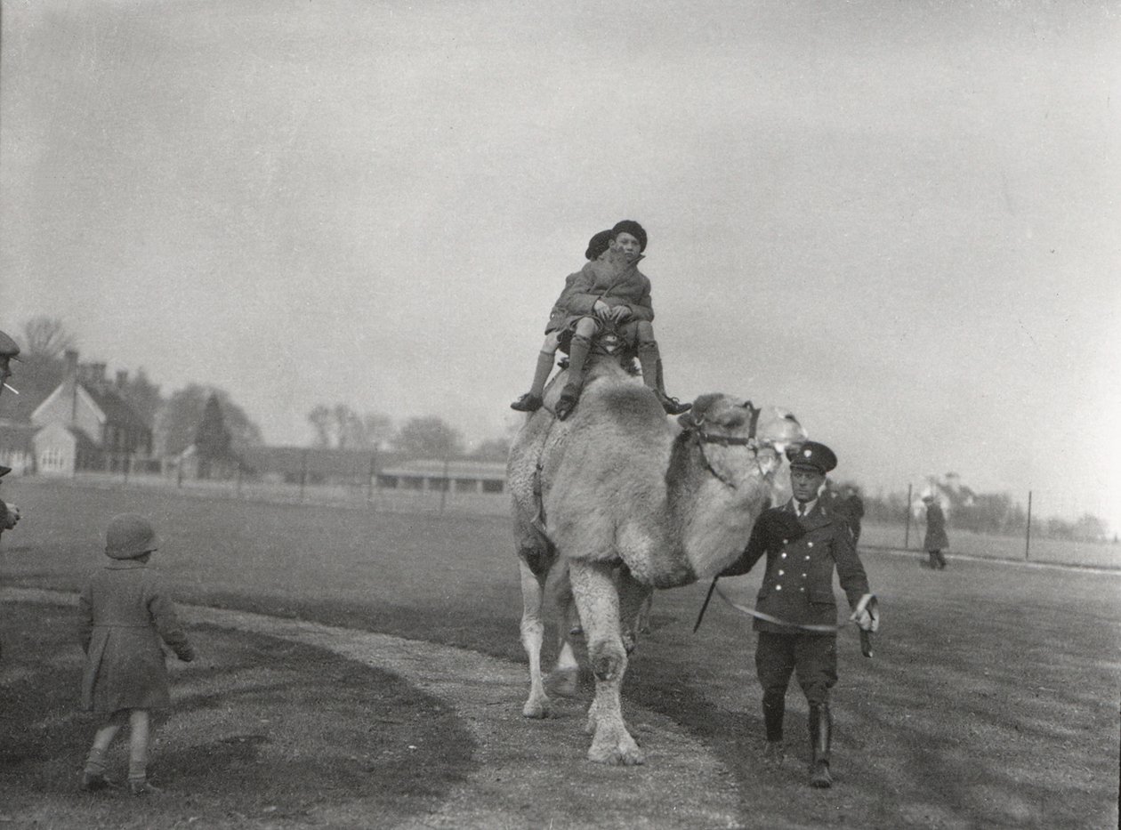 Un camello árabe llevando a un par de niños a dar un paseo en ZSL Whipsnade, marzo de 1932 de Frederick William Bond