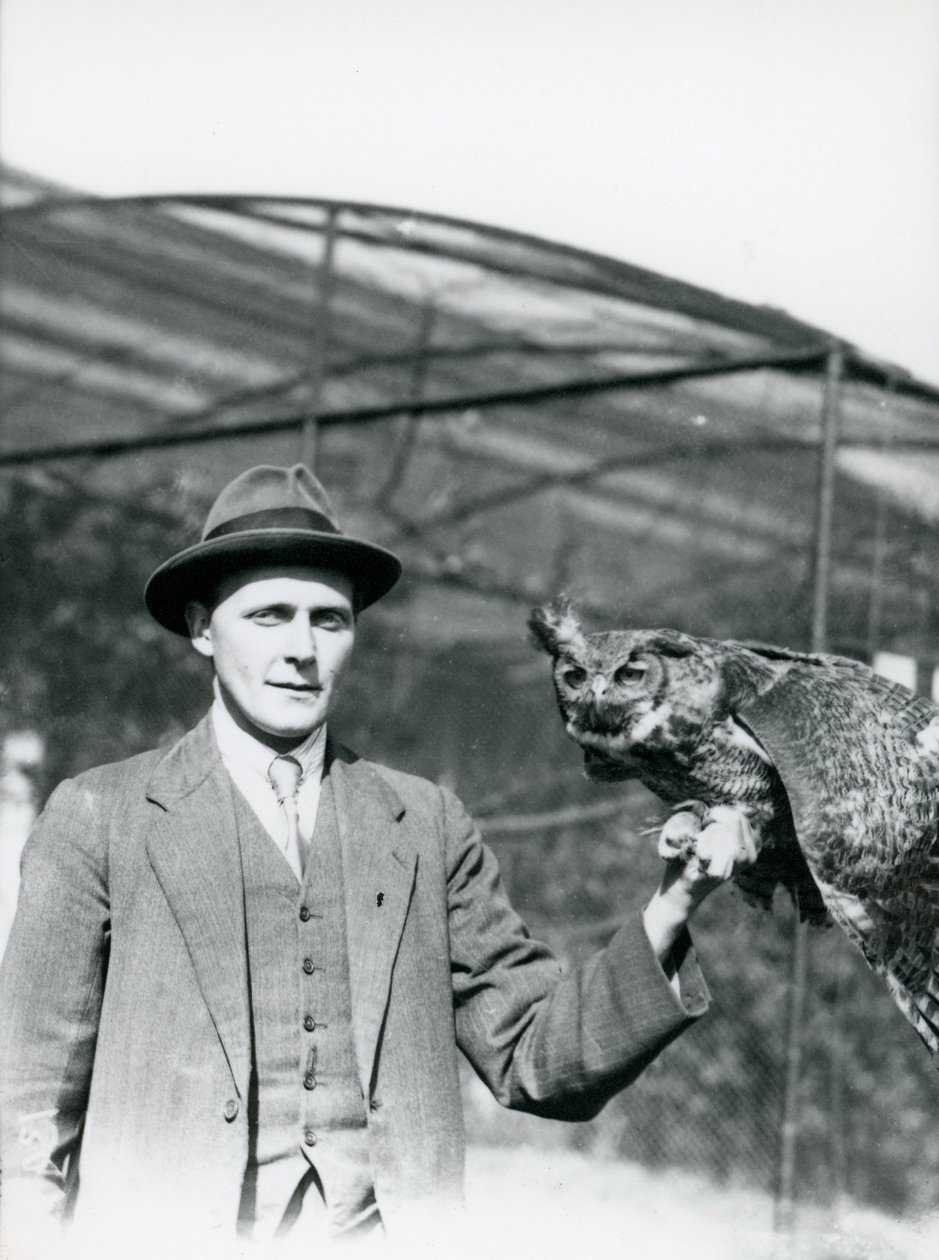Un búho real sostenido por J. Bailey, supervisor de aves en el zoológico de Londres durante treinta años. Junio de 1920 de Frederick William Bond