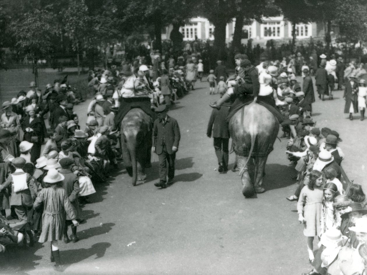 Paseos en elefante asiático con multitudes de espectadores en el Zoológico de Londres, 1922 de Frederick William Bond