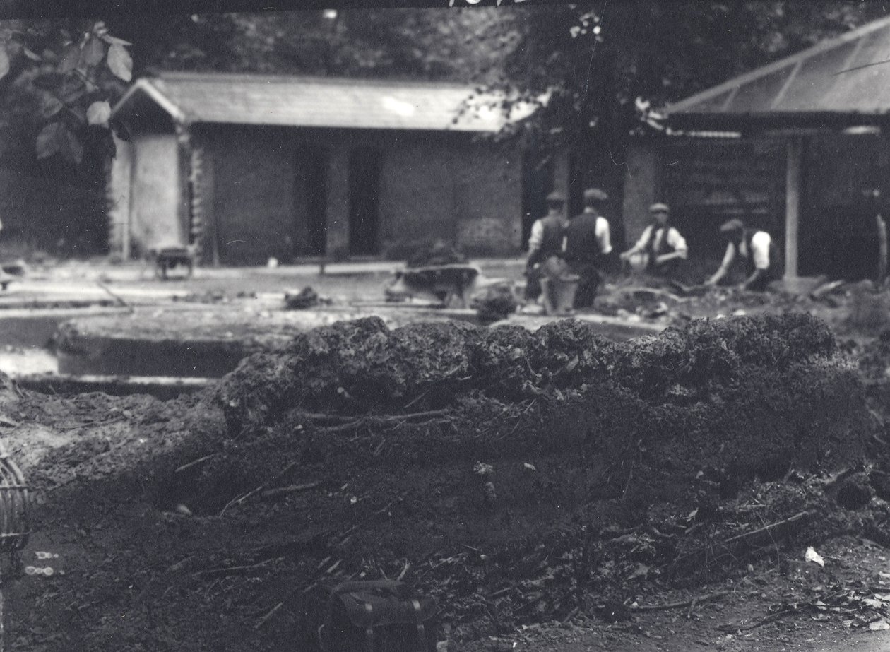 Madriguera de castores con cuidadores al fondo, Zoológico de Londres, julio de 1916 de Frederick William Bond