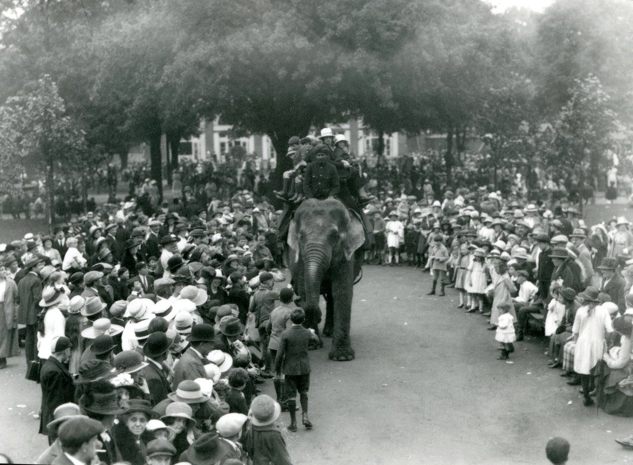 Multitudes de visitantes observan un paseo en elefante en el Zoológico de Londres, vacaciones de agosto, 1922 de Frederick William Bond