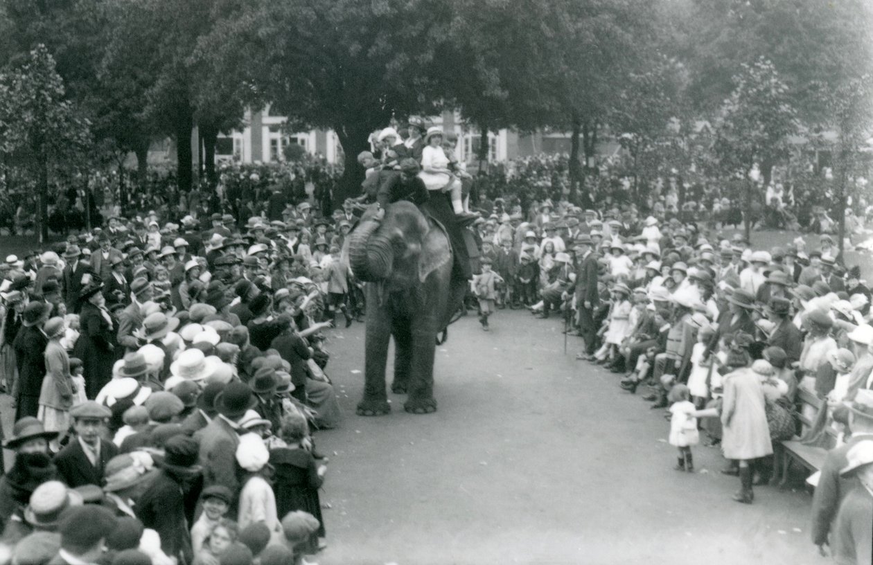 Multitudes de visitantes observan un paseo en elefante en el zoológico de Londres, festivo de agosto, 1922 de Frederick William Bond
