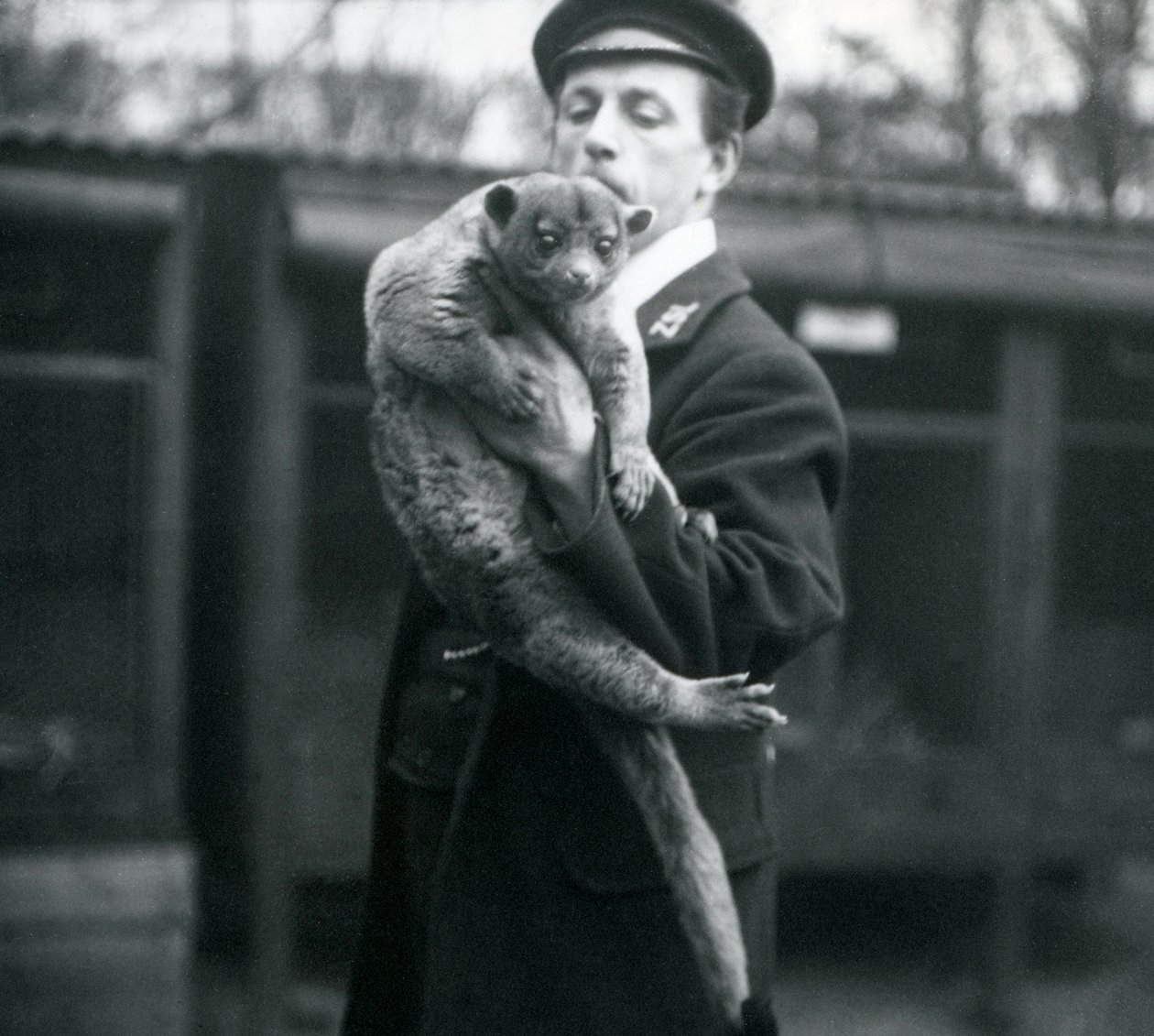 Keeper, Leslie Martin Flewin, sosteniendo un Kinkajou en el Zoológico de Londres, febrero de 1913 de Frederick William Bond