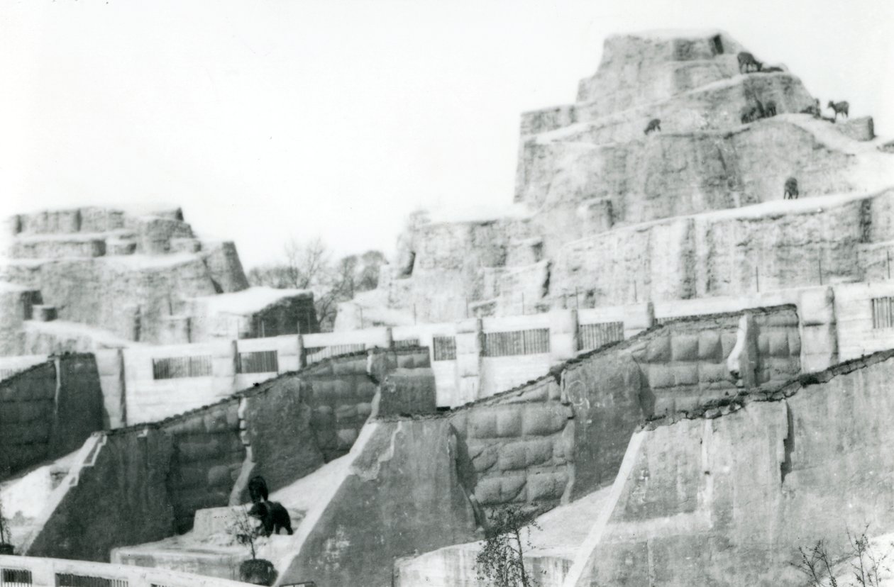 Las terrazas Mappin, Zoológico de Londres, 1922 de Frederick William Bond