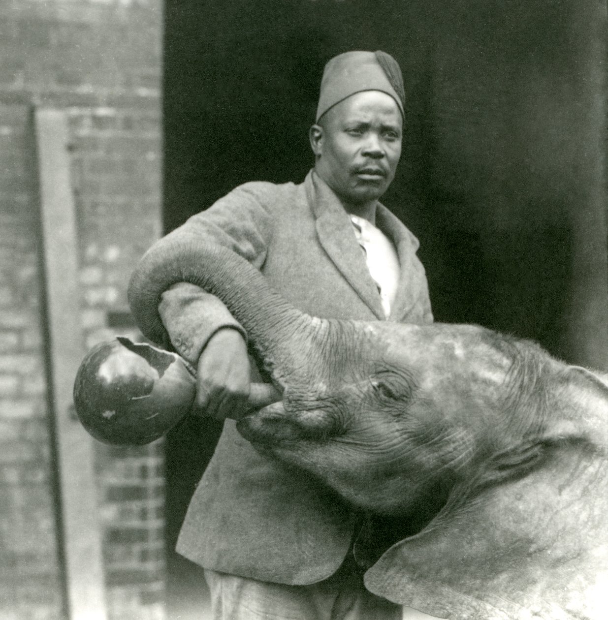 El joven elefante africano Kiberenge siendo dado de beber por Darisha, Zoológico de Londres, septiembre de 1923 de Frederick William Bond