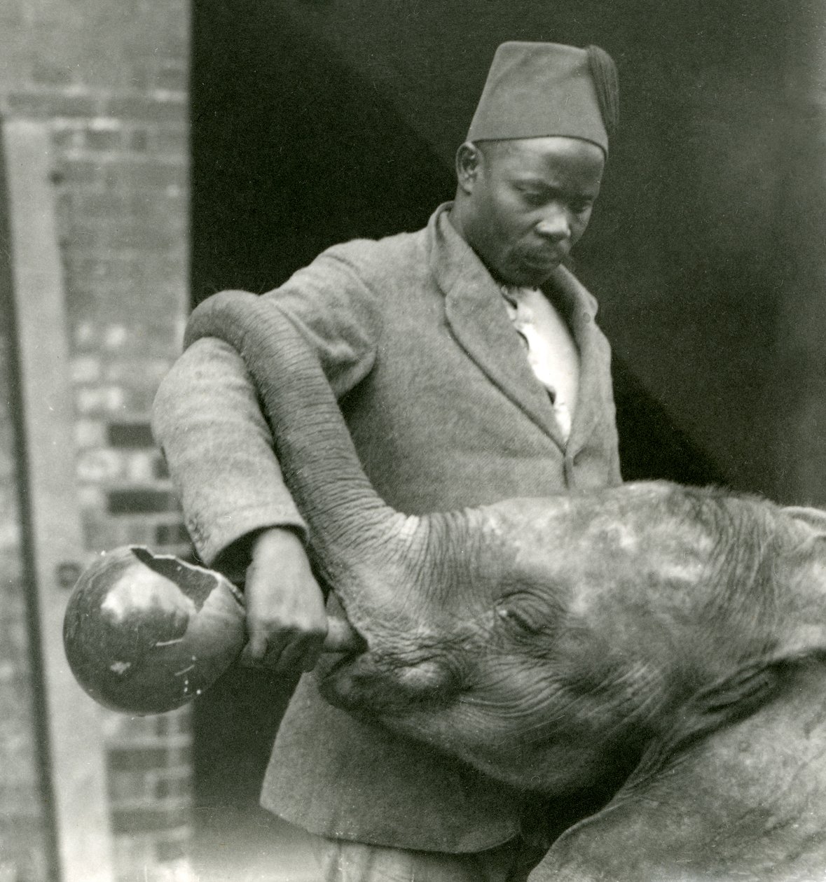 El joven elefante africano Kiberenge siendo alimentado por Darisha mientras Syed Ali observa en el fondo, Zoológico de Londres, septiembre de 1923 de Frederick William Bond
