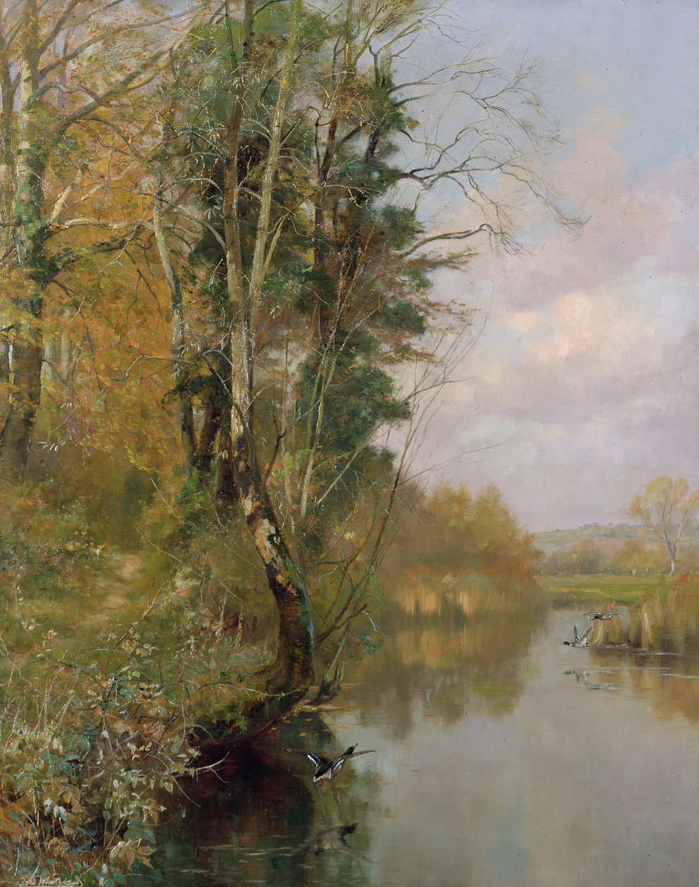 El río Frome, Morton cerca de Dorchester, 1901 de Frederick William Newton Whitehead