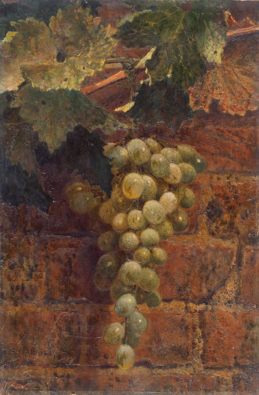 Uvas de Frederick George Harris