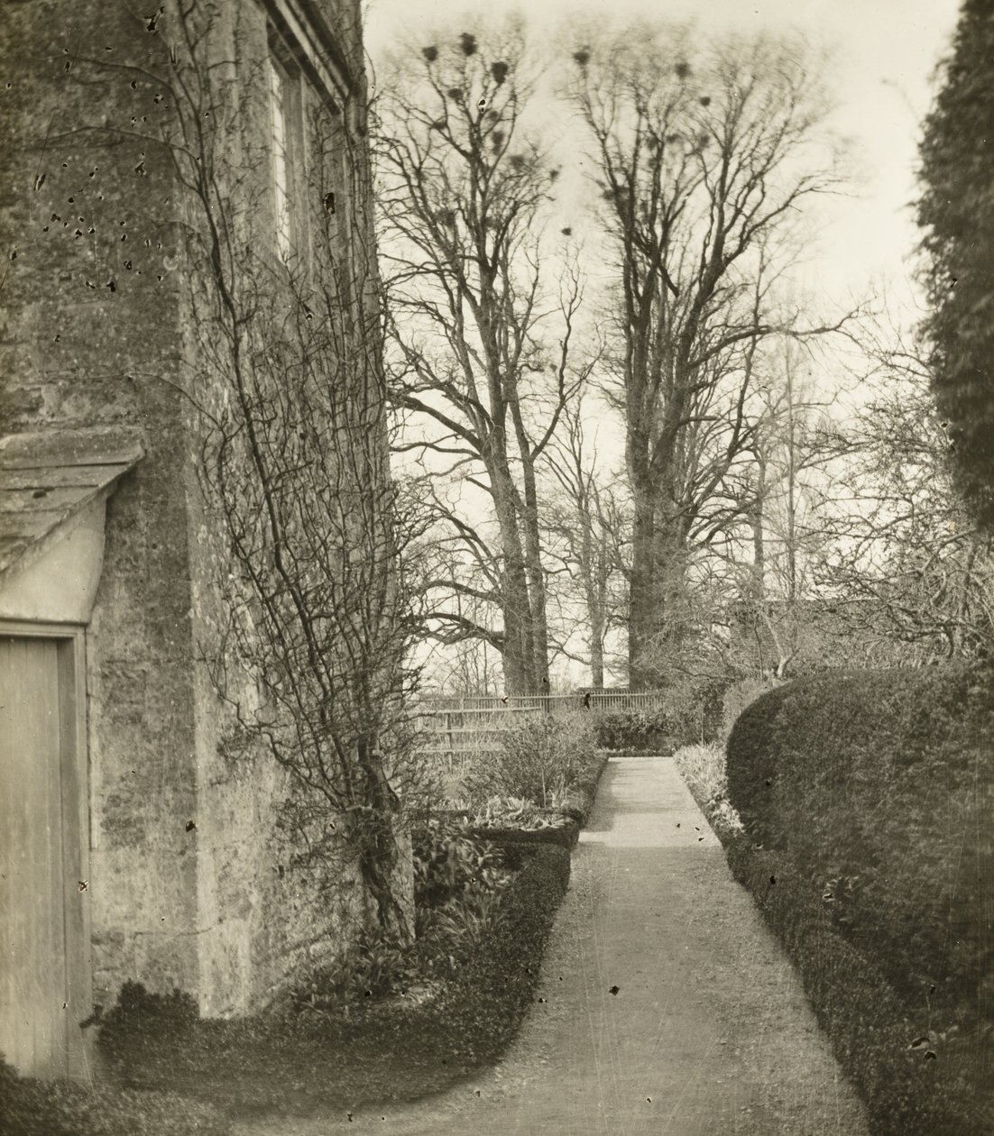 Mansión Kelmscott: En el jardín de Frederick H. Evans