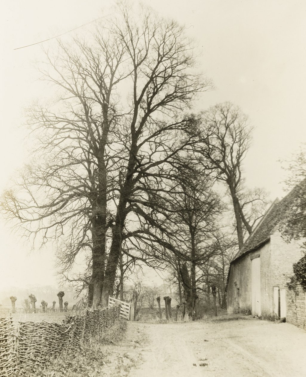 Mansión Kelmscott: Camino y entrada de Frederick H. Evans