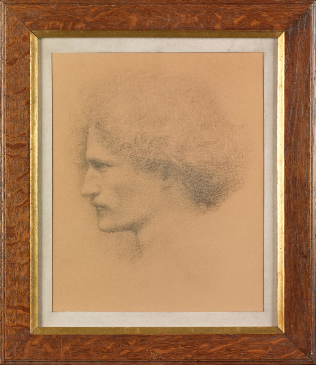 Ignacy Jan Paderewski de Frederick Hollyer