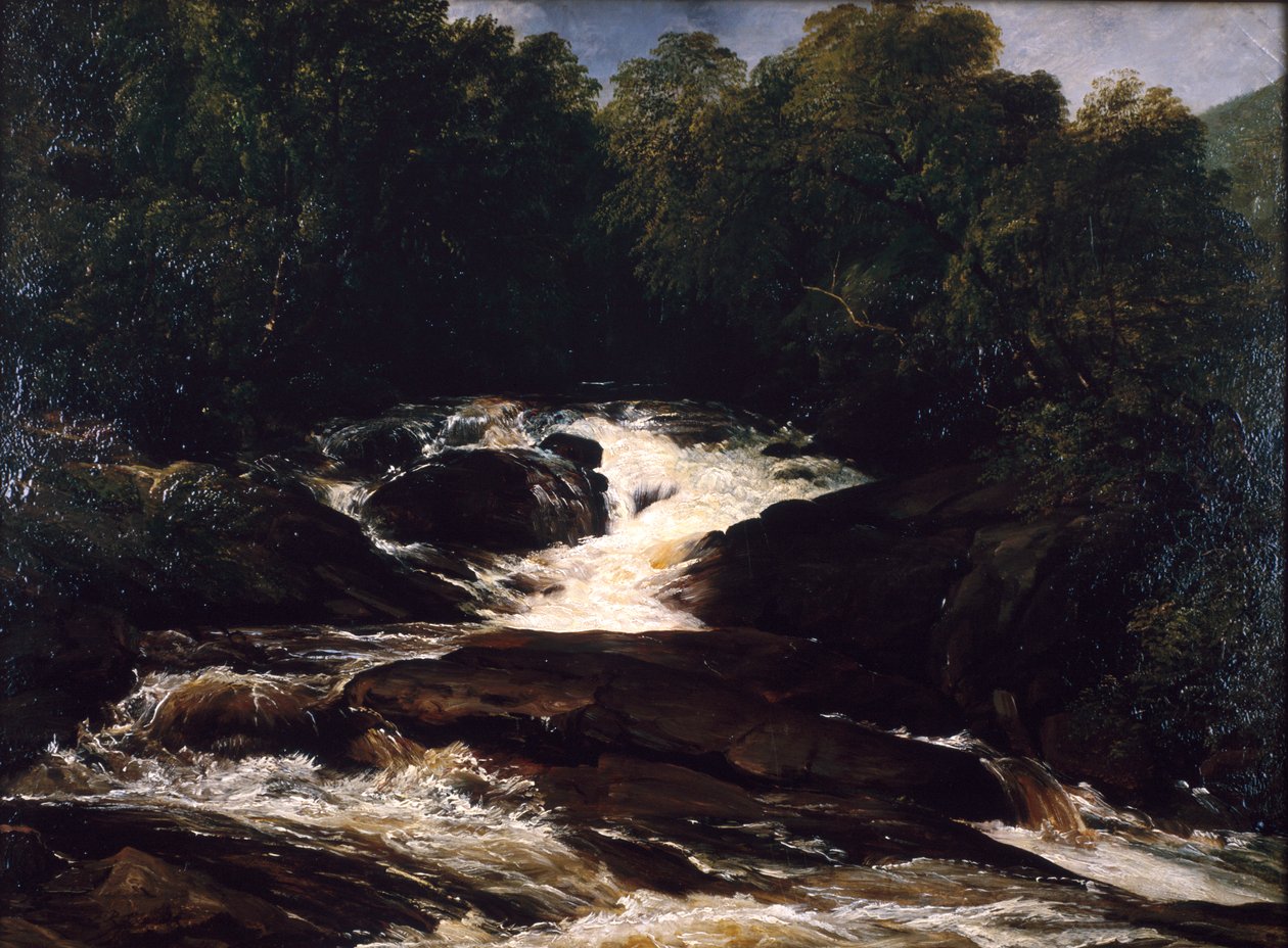 Un arroyo de Devonshire, 1860 de Frederick Richard Lee