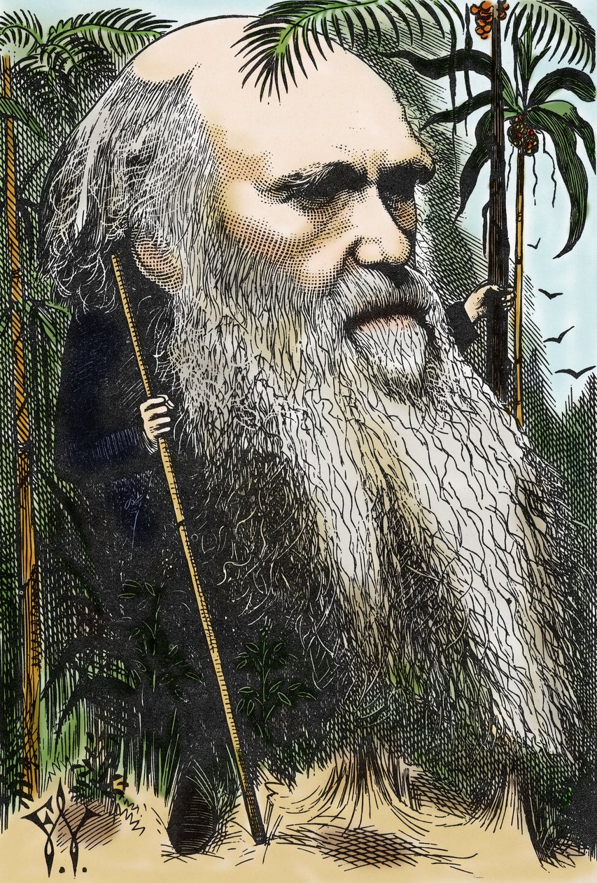 Charles Darwin (1809-1882) caricatura de F. Waddy en 
