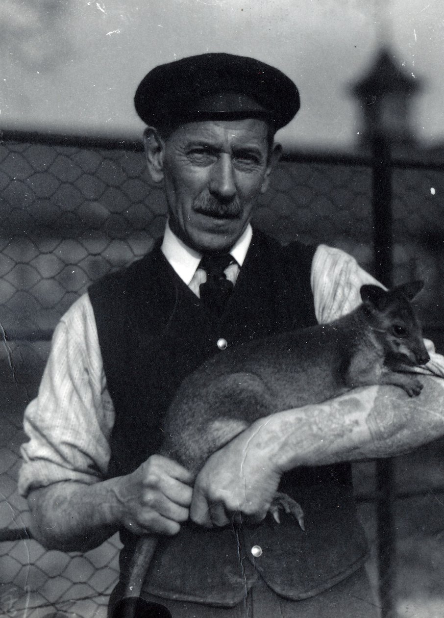 Un cuidador sostiene un wallaby, octubre de 1920 de Frederick William Bond