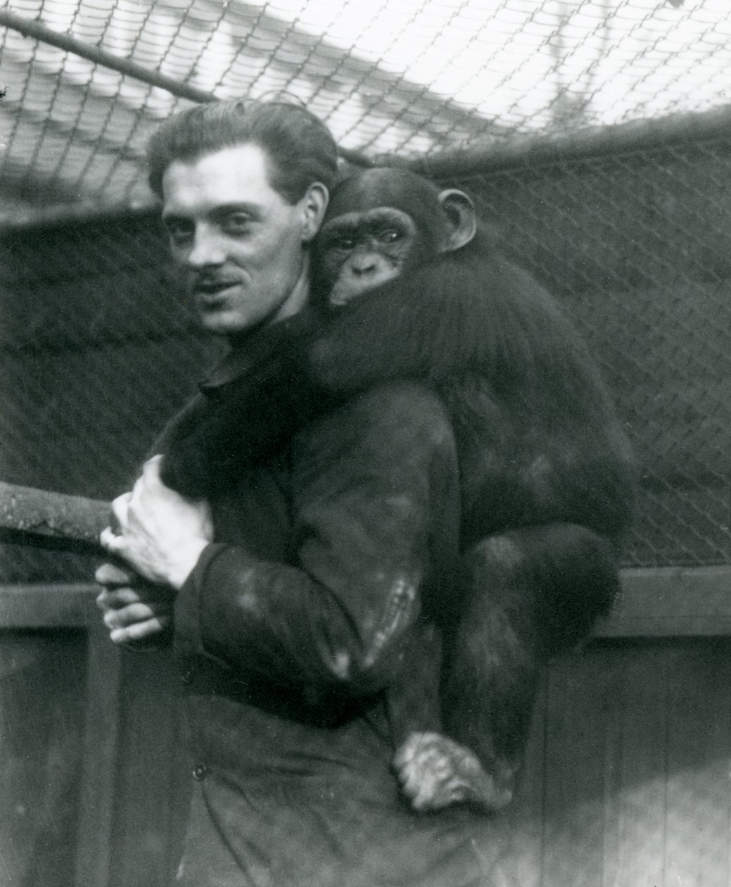Un hombre lleva a la chimpancé Sally en su espalda, Zoológico de Londres, 1924 de Frederick William Bond