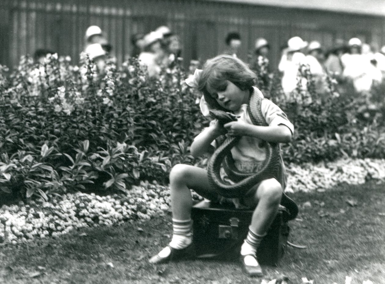 Una niña, Betty, sosteniendo una serpiente índigo oriental, sentada en un baúl de cuero, Zoológico de Londres, 1924 de Frederick William Bond
