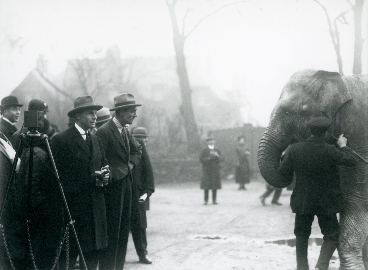 Un elefante indio, posiblemente Sundermalah, participando en una transmisión exterior desde el Zoológico de Londres, 1925 de Frederick William Bond