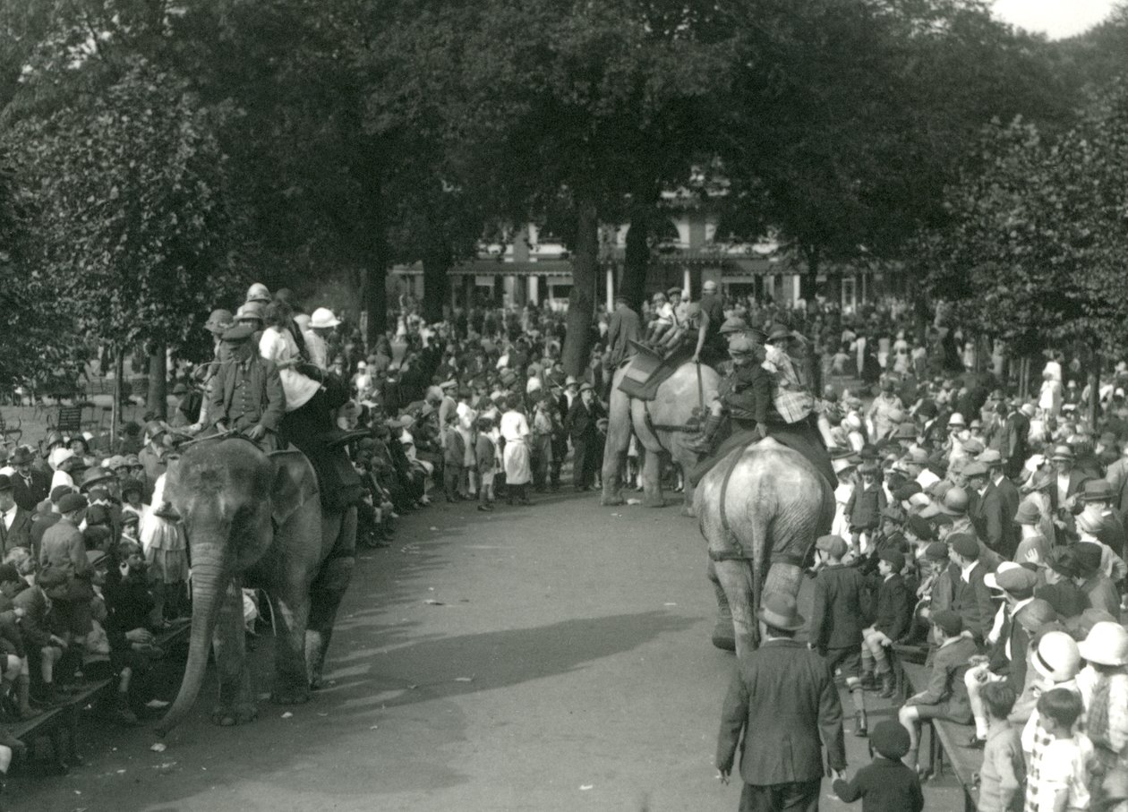 Paseos en Elefante, con tres elefantes asiáticos observados por multitudes de espectadores en el Zoológico de Londres en agosto de 1926 de Frederick William Bond