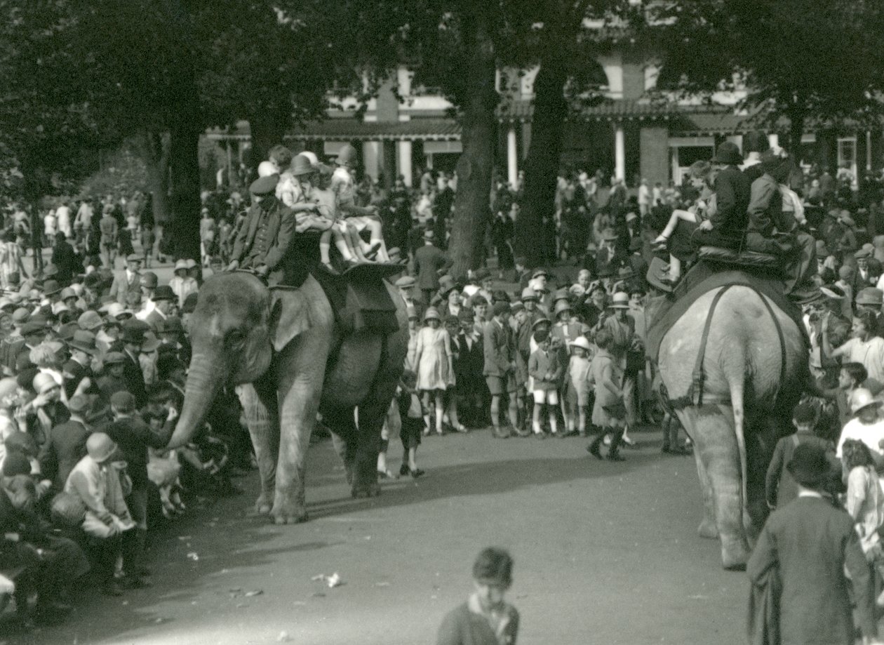 Paseos en Elefante, con dos elefantes asiáticos observados por multitudes de espectadores en el Zoológico de Londres en agosto de 1926 de Frederick William Bond