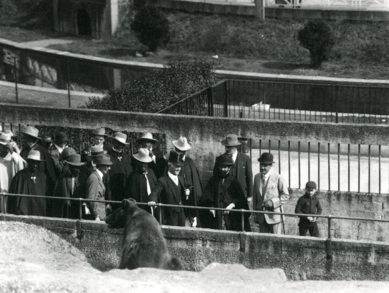 Sir Peter Chalmers Mitchell, con el regente etíope Haile Selassie y su séquito, viendo un oso pardo en las terrazas de Mappin, zoológico de Londres, 1924 de Frederick William Bond