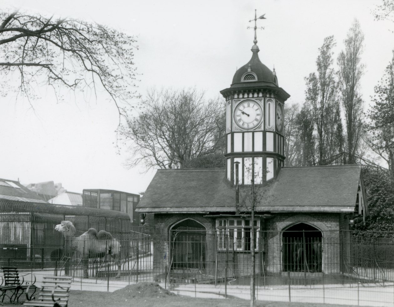 La Casa del Camello. Zoológico de Londres de Frederick William Bond