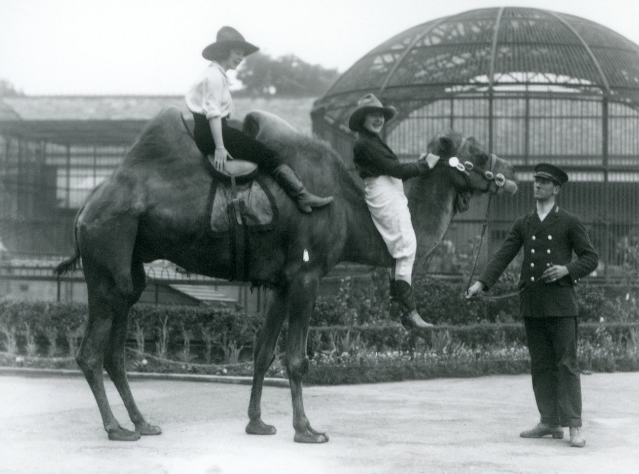Dos vaqueras posan sobre un camello bactriano, que es sostenido por su cuidador, durante una visita al zoológico de Londres en 1924 de Frederick William Bond