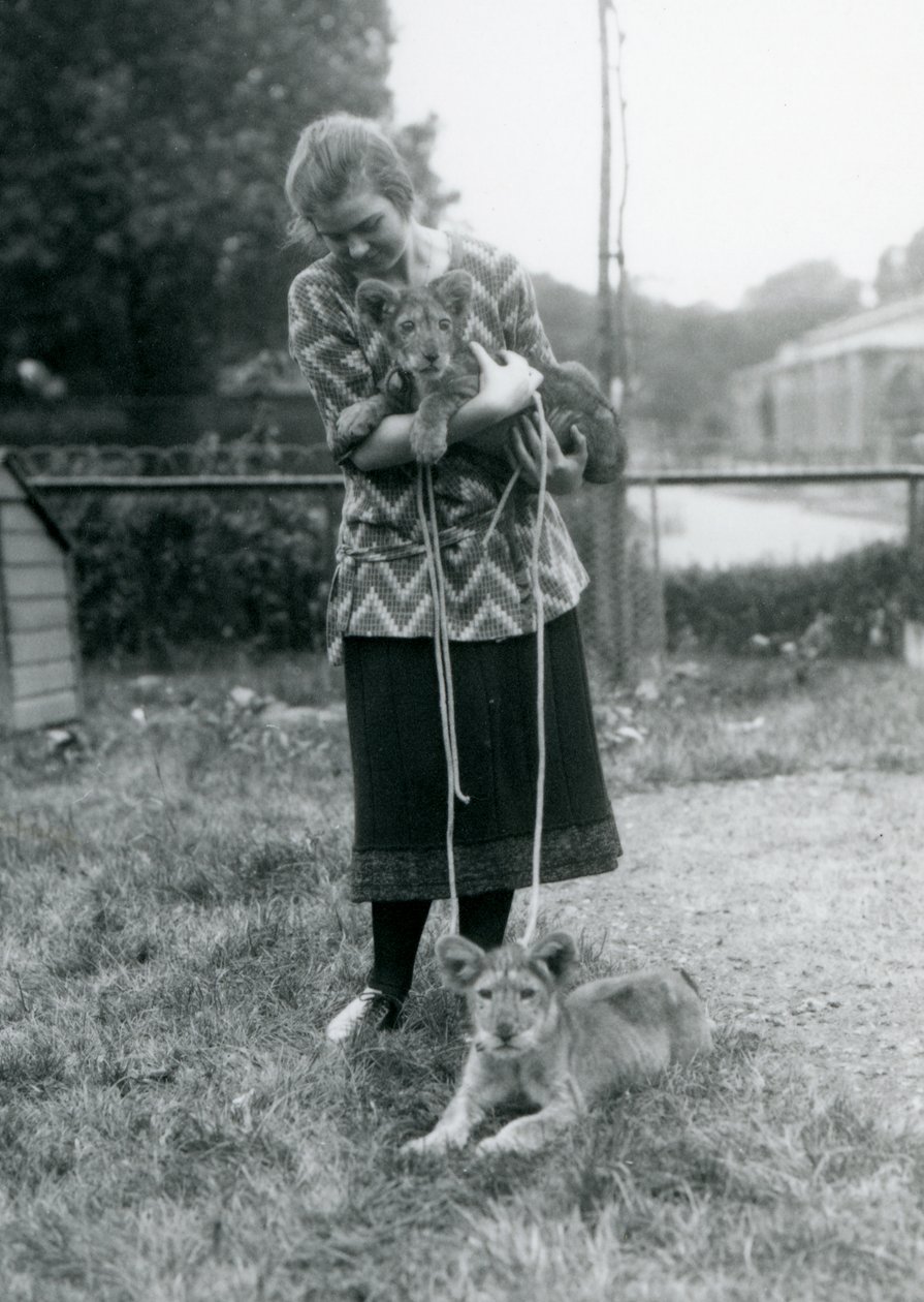 Dos cachorros de león con una joven en el Zoológico de Londres en agosto de 1925 de Frederick William Bond
